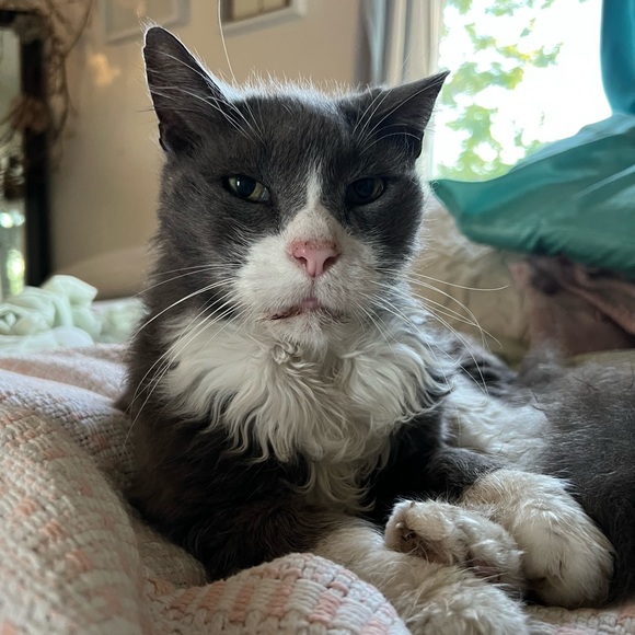 😍See something you must have? - Picture 2 of 16